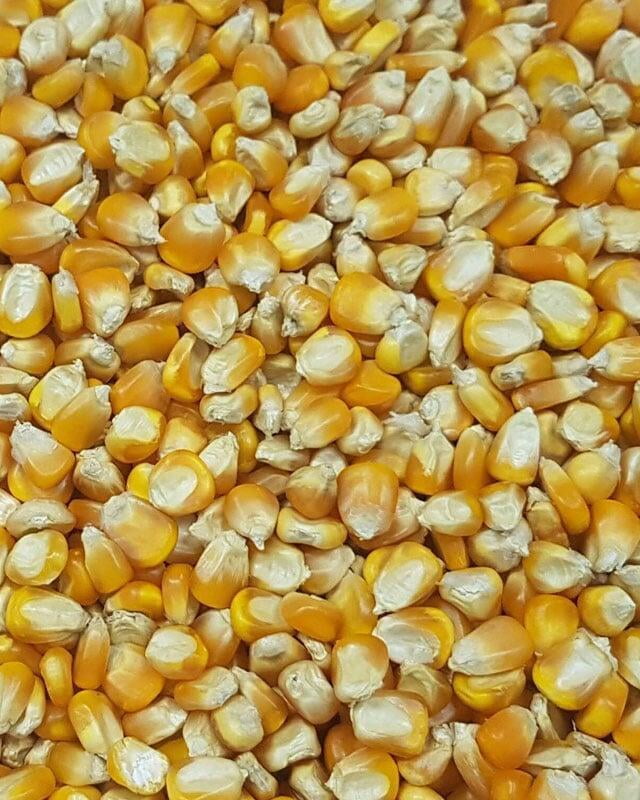 Myanmar Mize (Vitagrain)